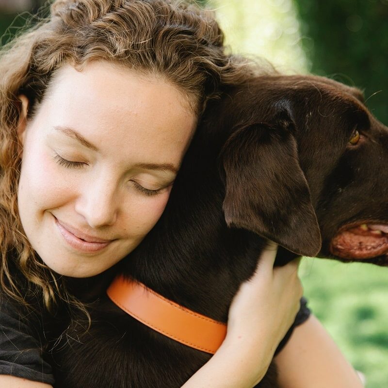 Pet therapy can also decrease depression, loneliness, and stress.